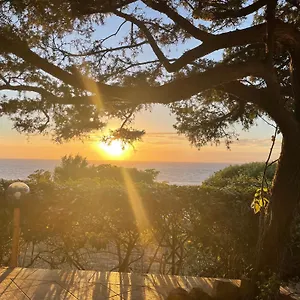 Dei Ginepri Casa vacanze